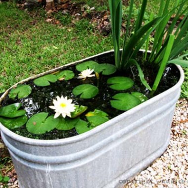 pond-in-pot-9